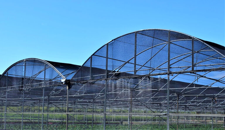 Eiras Strand. Landwirtschaftliches Gebiet O Rosal