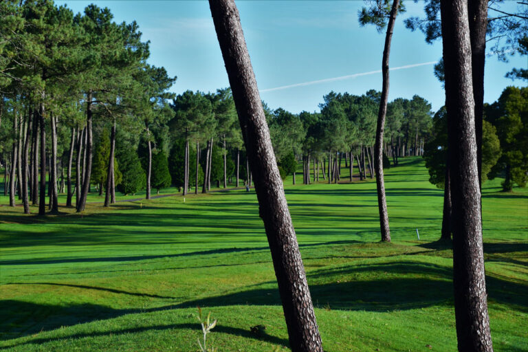 Poio. Monte Castrove und Golfplatz. Pferde