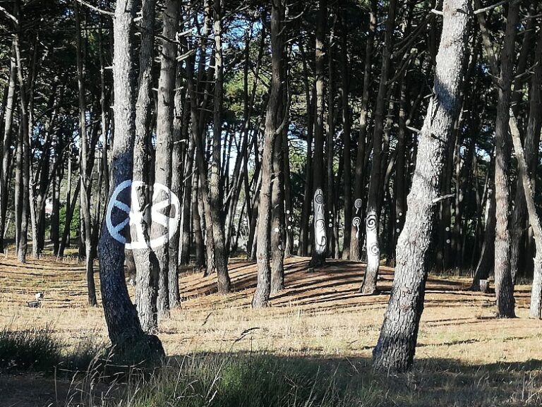 XACOBEO TRANSFER PARA GUARDA-CAMINHA 12:00 (HORA ESPANHOLA)