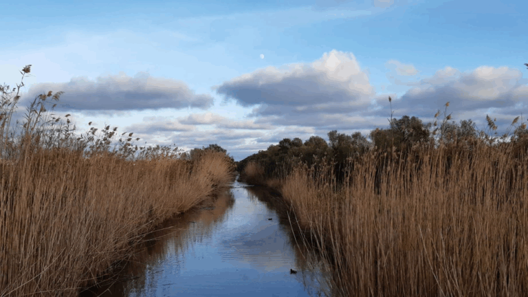 Parque Natural de s’Albufera