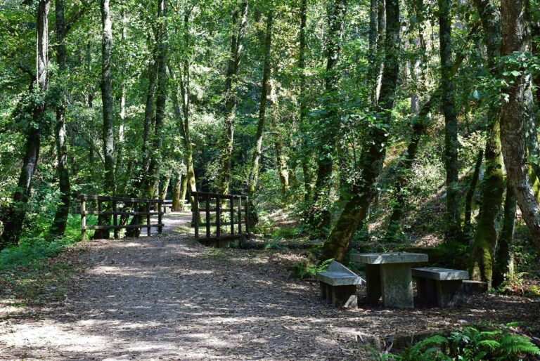 Aldán. The Enchanted Forest. The Route of the Mills