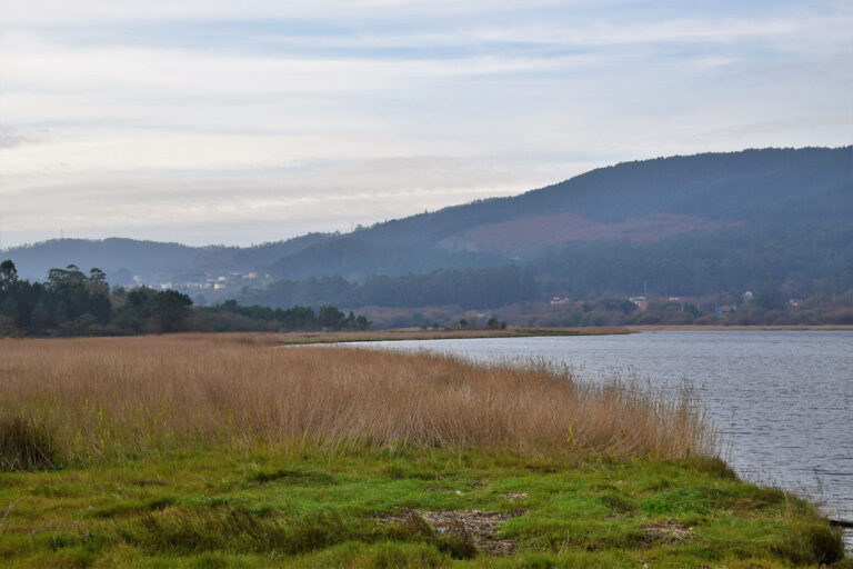 Région d&rsquo;Ulla Deza. Faune et flore. Réseau général Natura