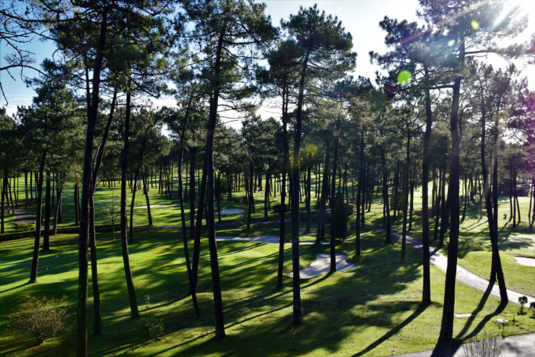 Poio. Monte Castrove und Golfplatz. Pferde