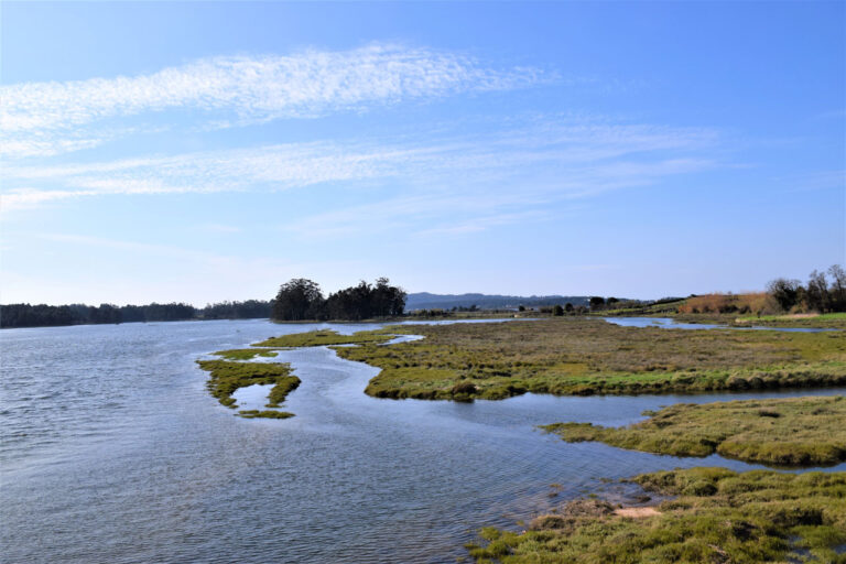 Umia river. Intertidal Complex