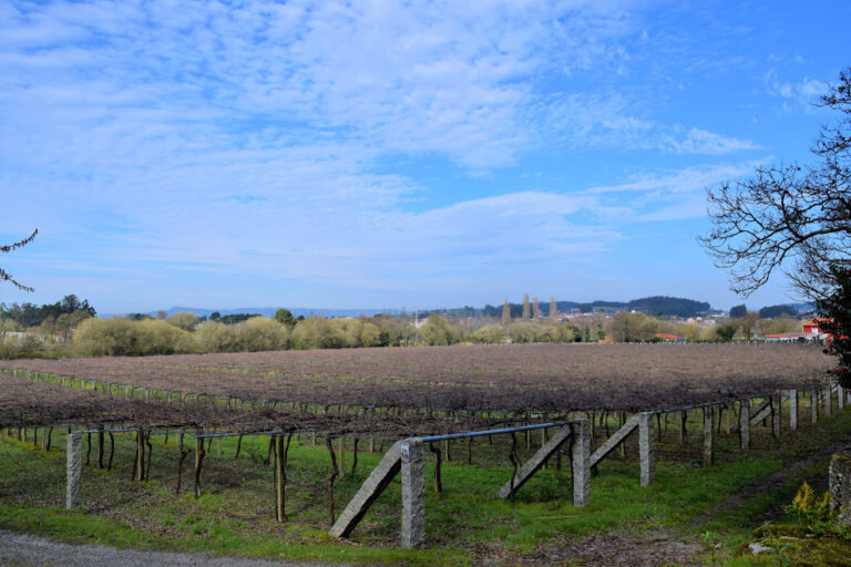 Bodega Fundação Creixell. Paço Barrantes