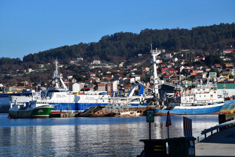 Marín. Estaleiro e porto. Centro de formação em embarcações