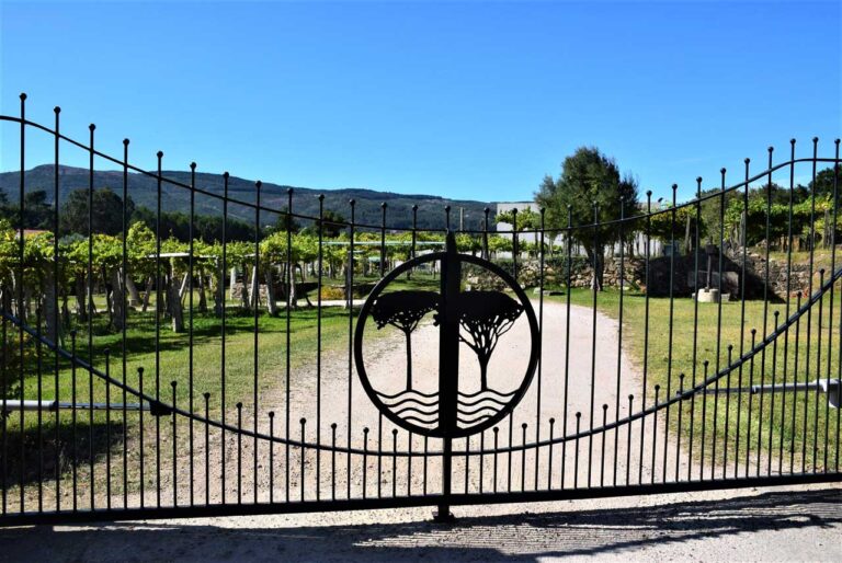 Eiras beach. O Rosal´s vineyards and cellars