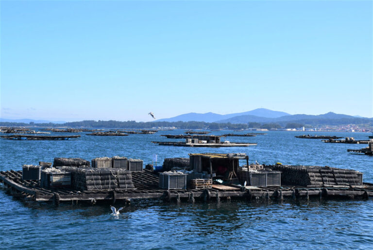 O Grove. Submarine. Meloxo Port. Mussel Rafts