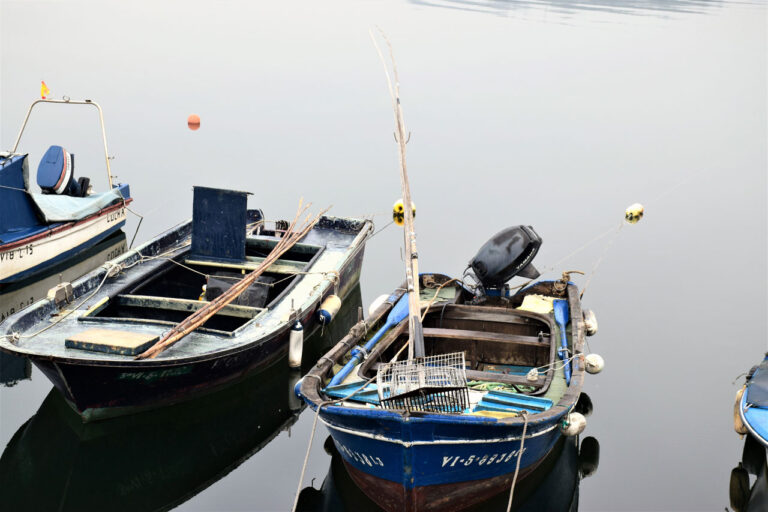 Arcadien. Port et activité de pêche. Confréries