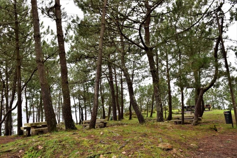 Panxón – Monteferro – Tausendjährige Felsen – Küstenbatterien