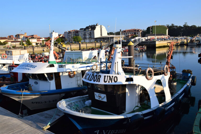Barco do mexilhão. Geral