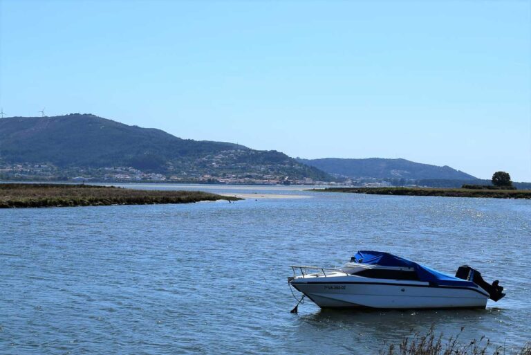 L&rsquo;île de Tamuxe. Classe de nature. Flore et faune de la rivière Miño à O Rosal