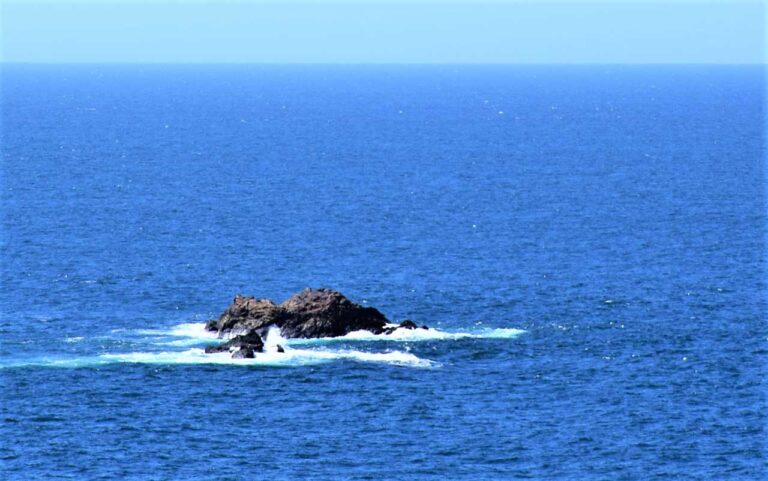 Ilha de Sálvora. Con de Lapegar