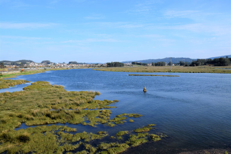 Umia river. Intertidal Complex