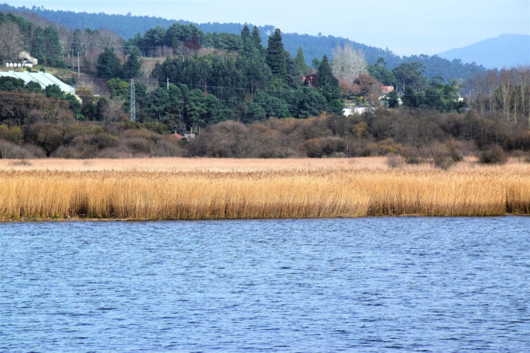 Région d&rsquo;Ulla Deza. Faune et flore. Réseau général Natura