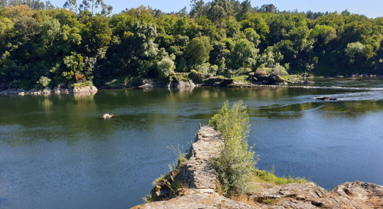 Arbo. Fluss Miño. Strand von Sela Fluss
