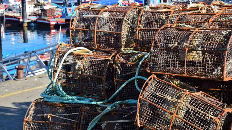 Infraestrutura. Artes de pesca a flote