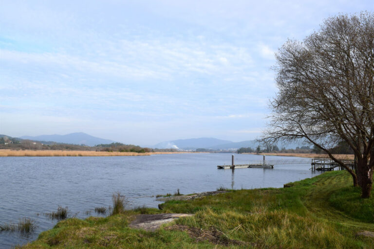 À LA DÉCOUVERTE DE L&rsquo;ÎLE DE SÁLVORA ET DE VALGA DEPUIS VILAGARCÍA DE AROUSA