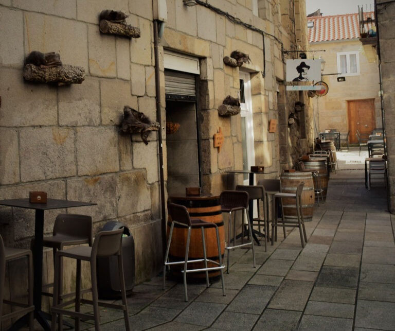 Downtown Vigo.  Old Quarter, Ramparts, Collegiate and Parque Illas Atlánticas Museum