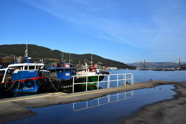Domaio. Port de Domaio