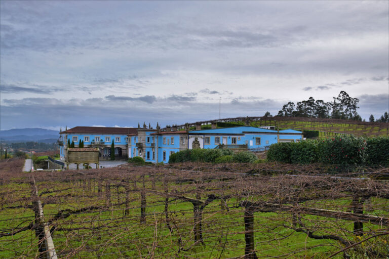 Bodega GranBazán