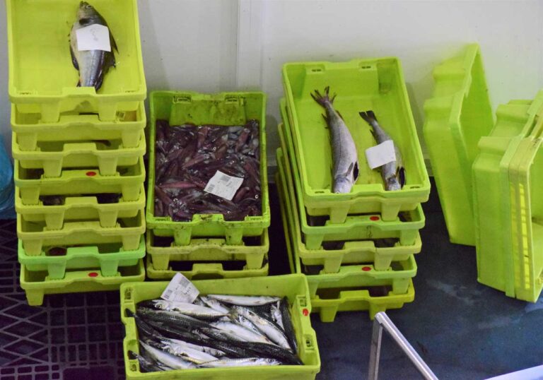 Fischmarkt von O Grove