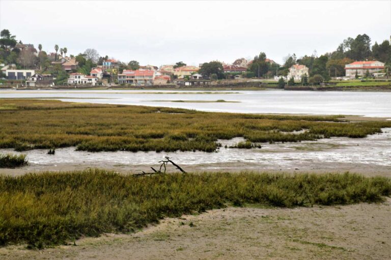 Baiona. A Ramallosa Marshes