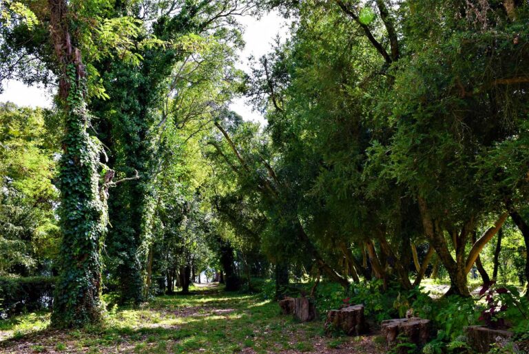 Naturerbe Insel von San Simón