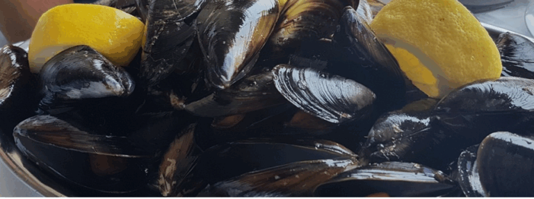 Moule. Général