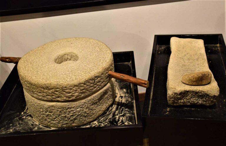 Museo de Santa Trega, cultura castreña e fenicia