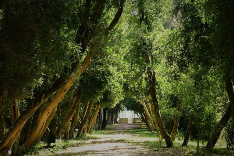 Naturerbe Insel von San Simón