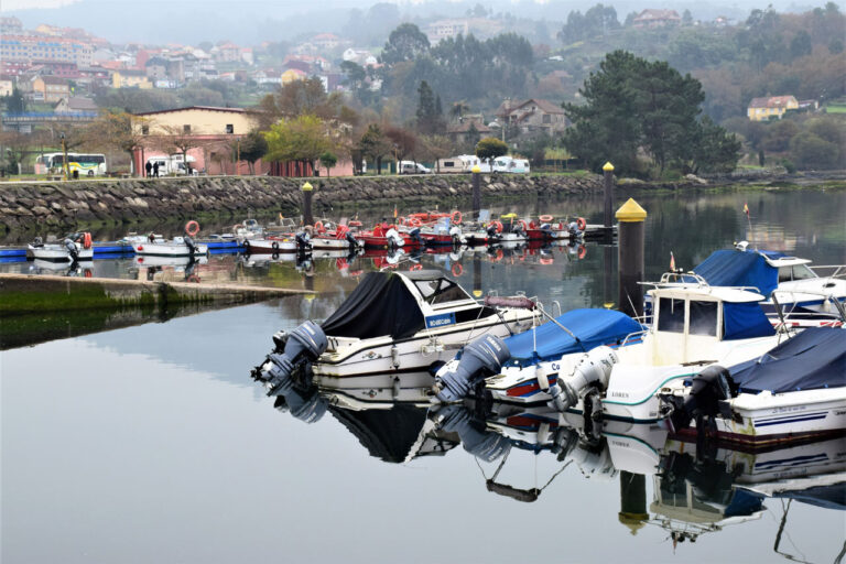 Arcadien. Port et activité de pêche. Confréries
