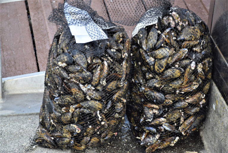 Moule. Général