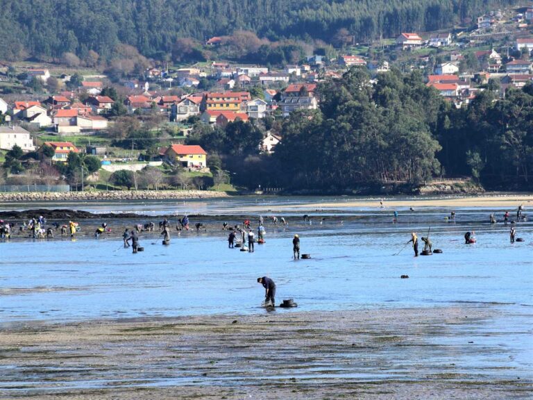 Infraestrutura. Arte de pesca a pé