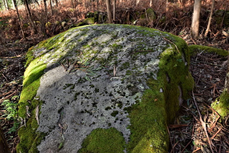 Moaña and Domaio. Mill´s route. Moaña´s petroglyphs