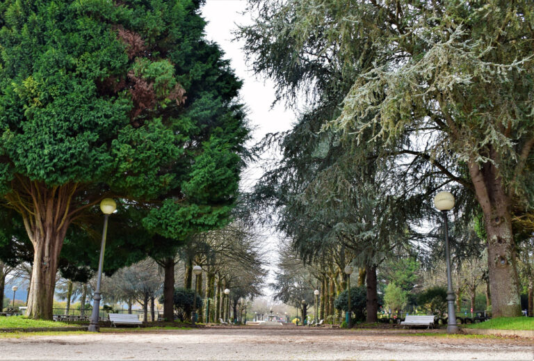 Salvaterra-Park