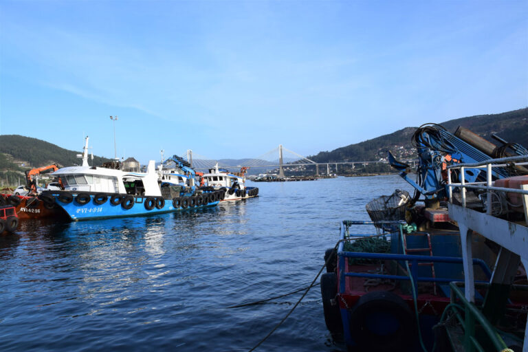 Domaio. Port de Domaio