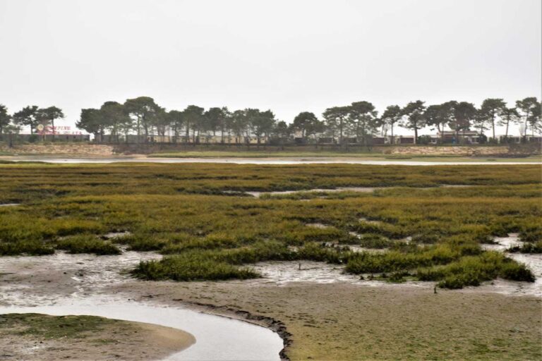 Baiona. A Ramallosa Marshes