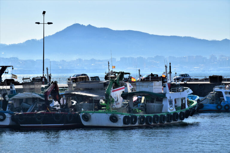 Produto. Sardinha. Barco sardinha
