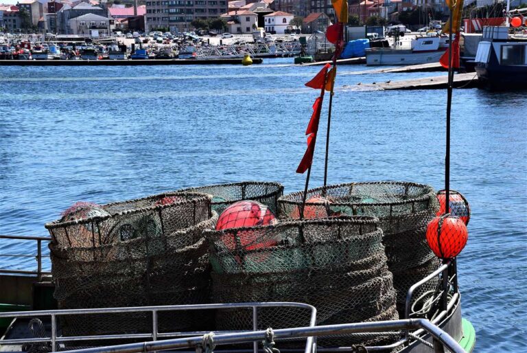 SEAFARING DISTRICT. Fishing activity, nowadays