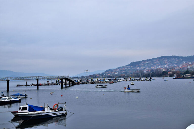 Port de Cesantes. Activité de pêche