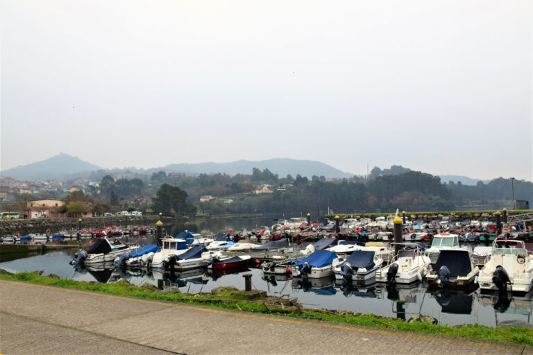 Port de Cesantes. Activité de pêche