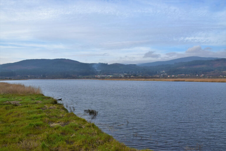 Région d&rsquo;Ulla Deza. Faune et flore. Réseau général Natura