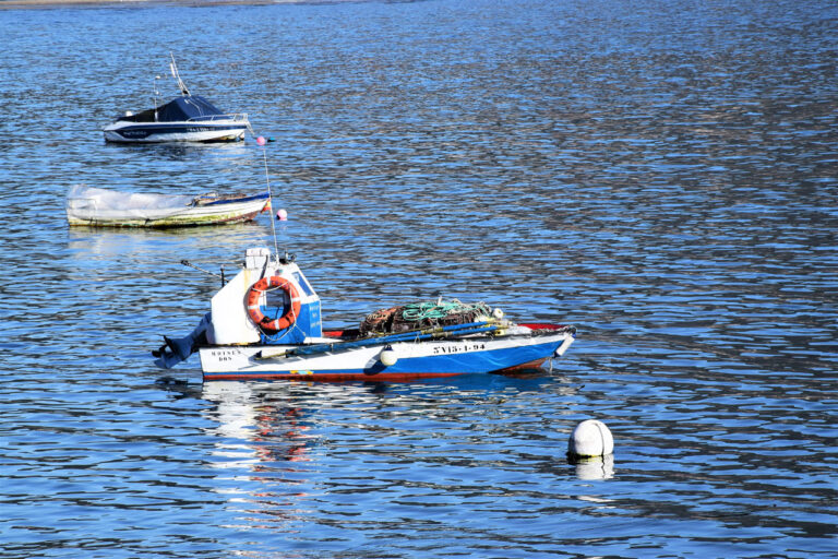 Produto. Sardinha. Barco sardinha