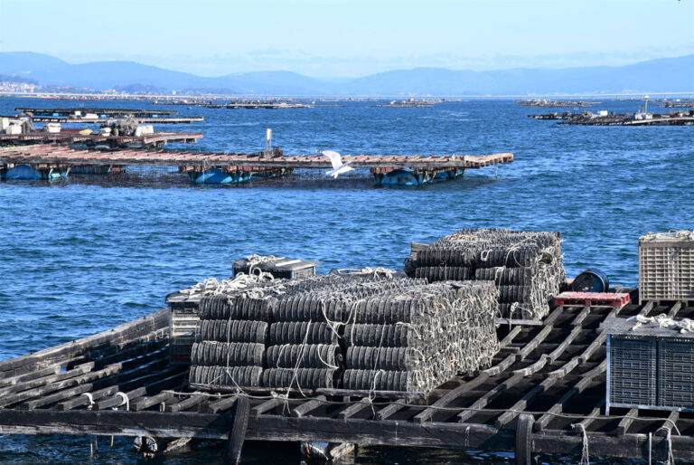 O Grove. Submarine. Meloxo Port. Mussel Rafts