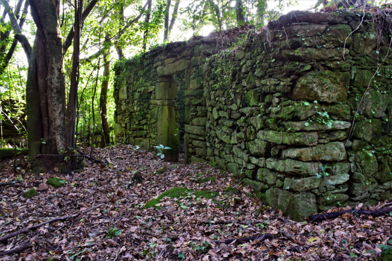 Die Insel Cortegada. Dorf. Kapelle und Umgebung. Cruceiro von Punta Corveiro. Blick auf Esteiro de Ulla