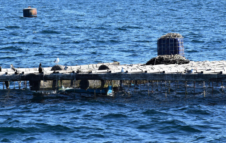 Infrastruktur für Muscheln. Flössen