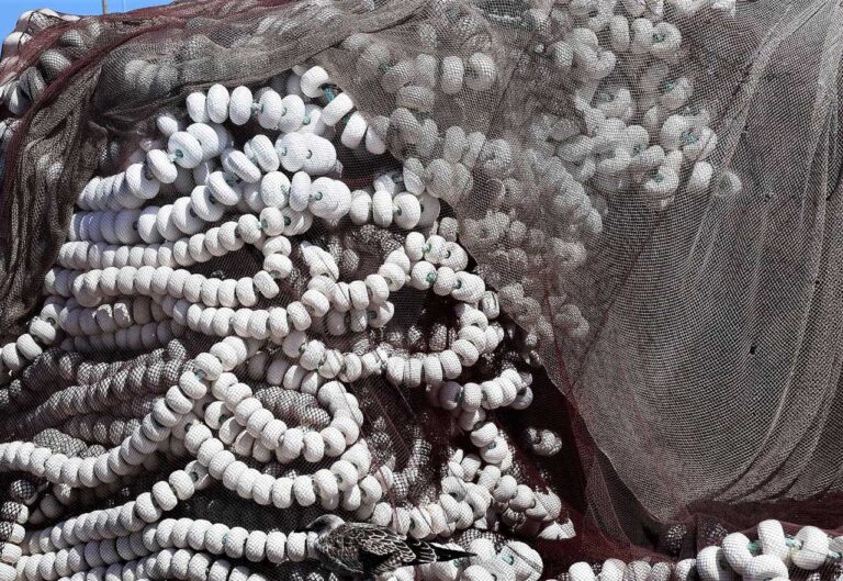 Infraestrutura. Artes de pesca a flote
