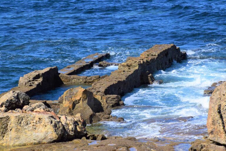 Cetária A Redonda