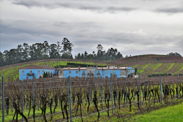 Bodega GranBazán